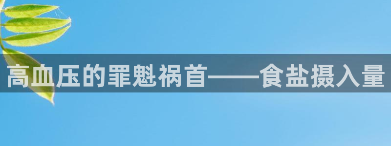 威九国际网站进入公司不断创新