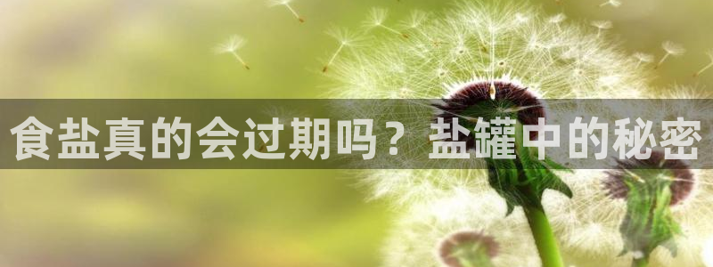威九国际留学