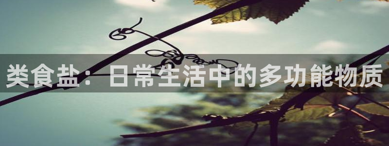 威九国际网站怎么样可靠吗