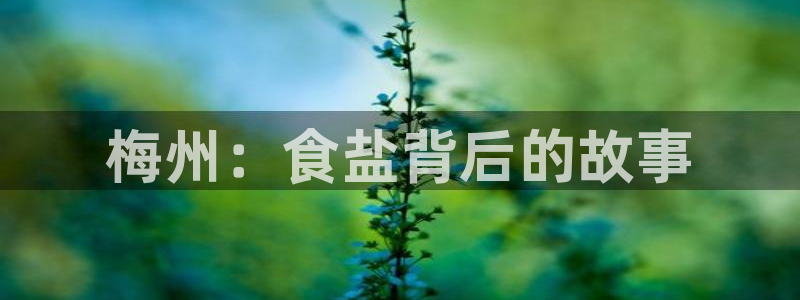 威九国际v96bet官网版