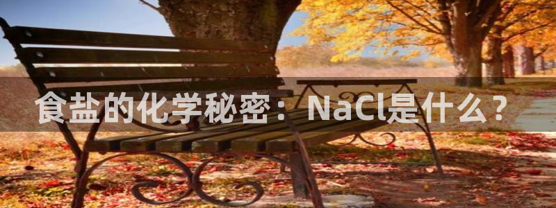 威九国际小说