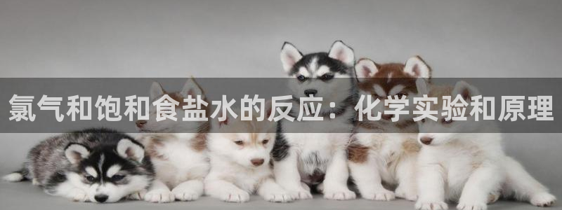 威九国际网站入口地址在哪里