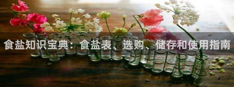 威九国际小说