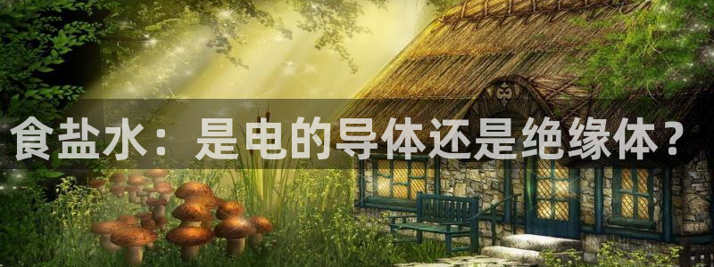 威九国际体育app下载