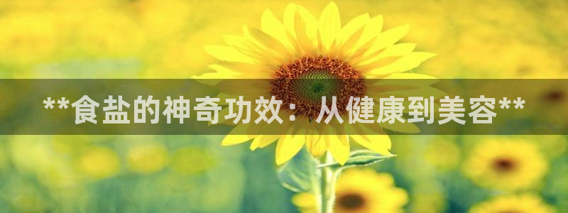 威九cp