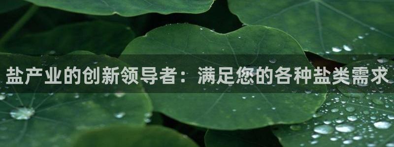 威九国际网站入口地址