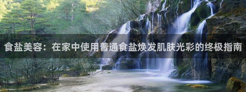 威九国际的演员