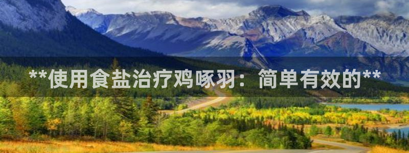 威九国际