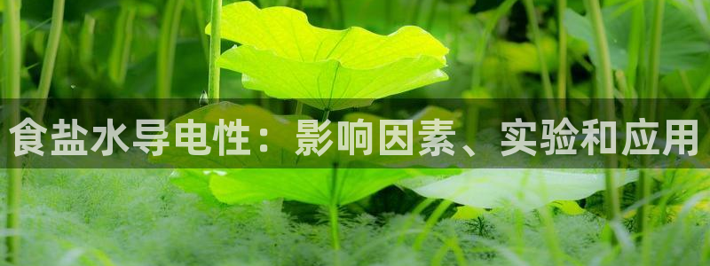 威九国际可以提现吗