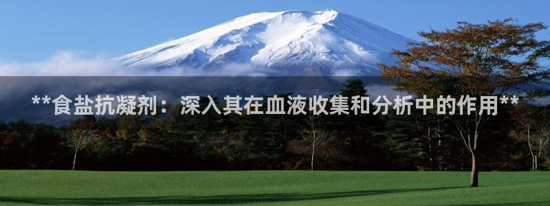 威九国际男演员