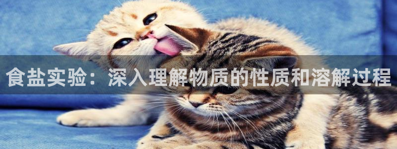 威九国际可以提现吗