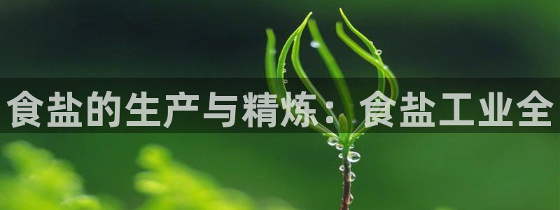 威九国际v96 bet会黑吗