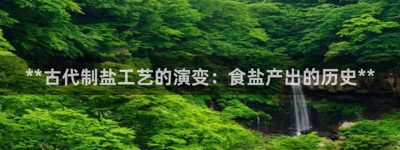 威九国际PPT
