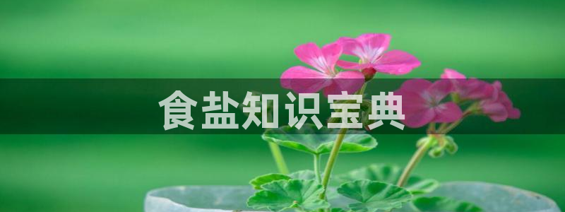 威九国际app客服电话多少