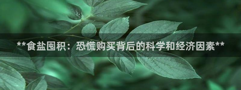 威九国际v96bet下载
