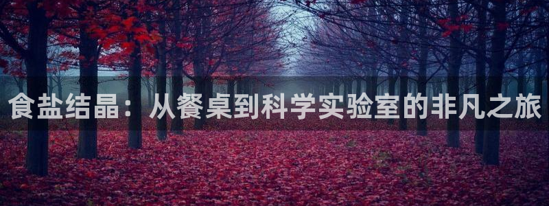 威九国际正规吗