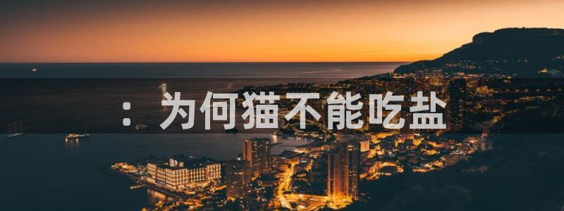 威九国际新人白发