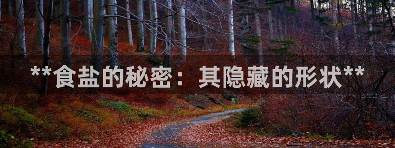 威九国际免费