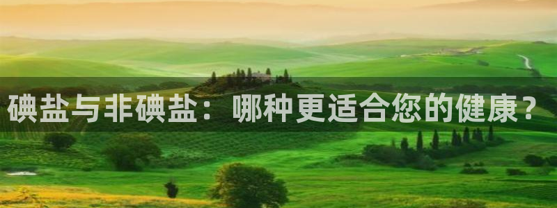 威九国际mm