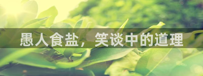 威九国际网站传媒招聘