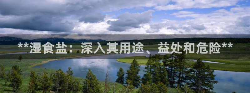 威九国际网站在哪里
