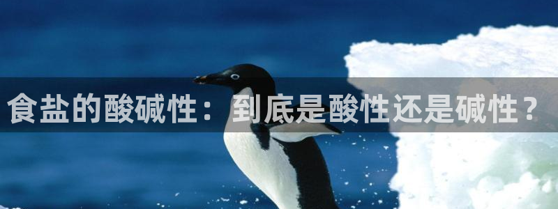 威九国际PPT