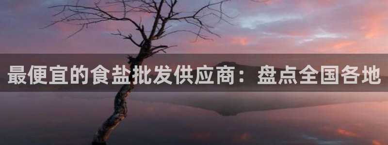 威九国际ppt免费下载网址