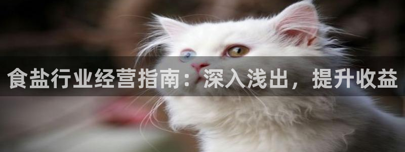 威九国际fX8x