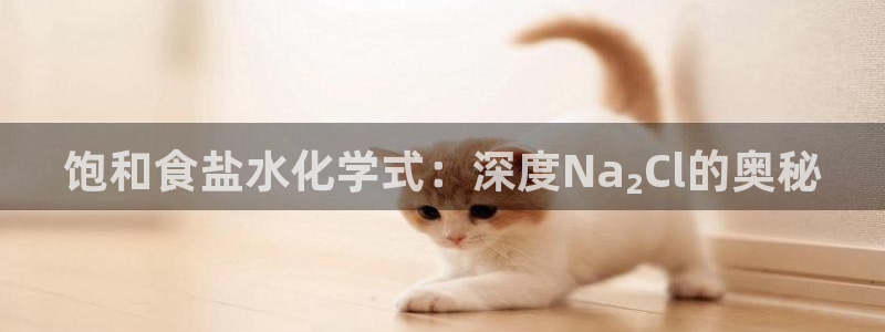 78mapp威九国际官网