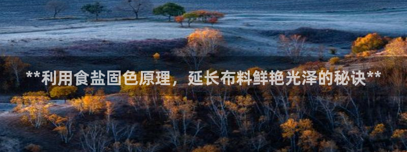 威九国际网站影视