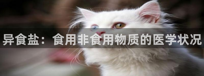 威九国际网站是多少