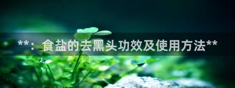 威九国际免费版