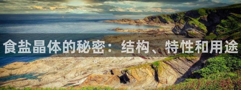 威九国际客服电话号码
