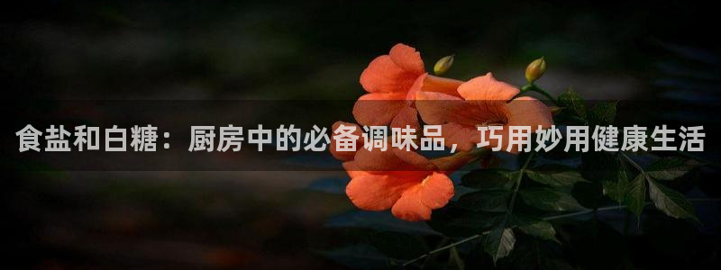威九国际网站入口rdquo