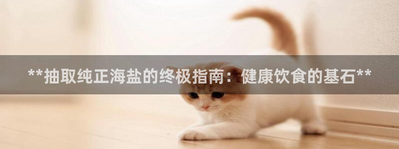 78mapp威九国际网