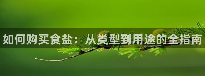 威九国际ppt官网