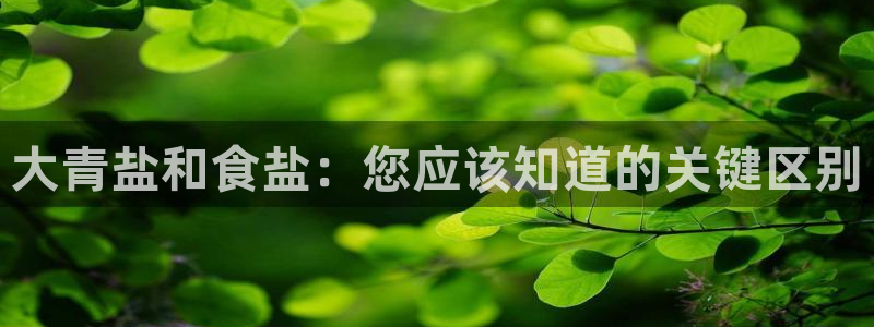 威九国际官方入口官网