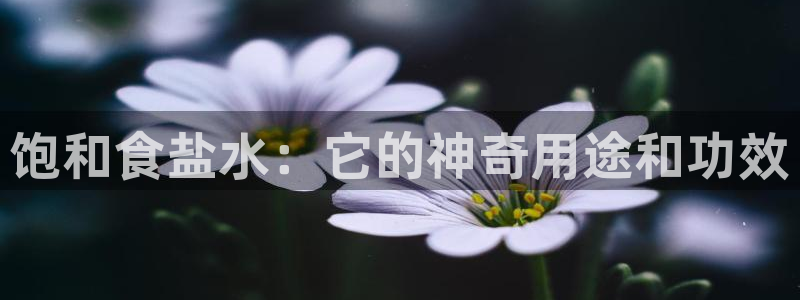 威九国际女孩