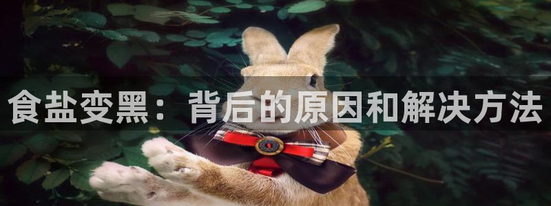 威九国际app大全下载安装