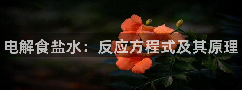 威九国际66视频