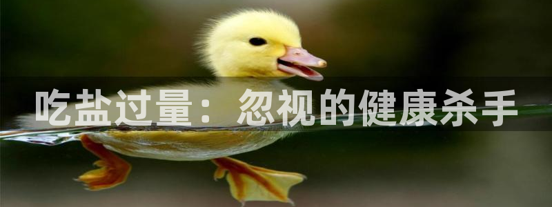 威九国际男主