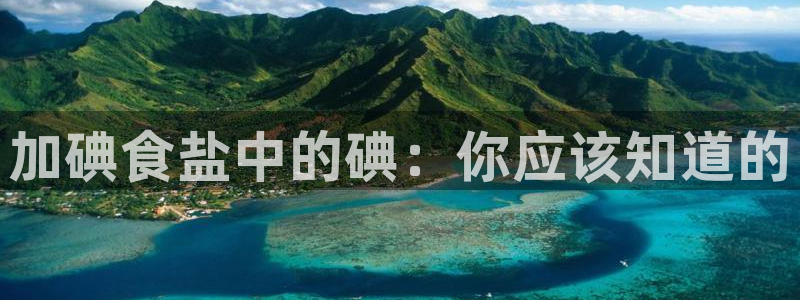 威九国际PPT
