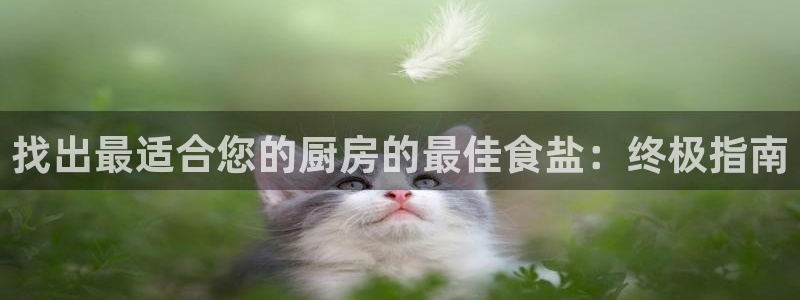 威九国际网站是多少