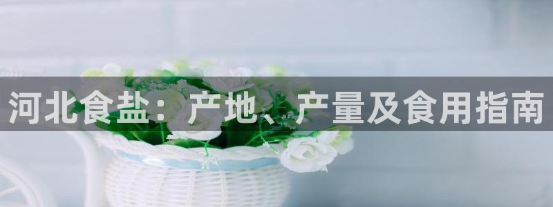 威九国际网站进入AB,AB