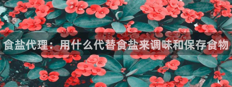 威九国际66m