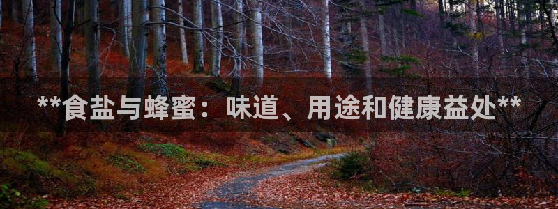 威九国际ppt免费