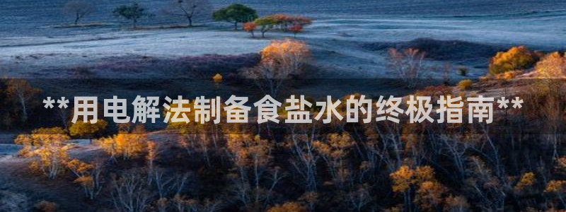 威九国际免费ppt网址