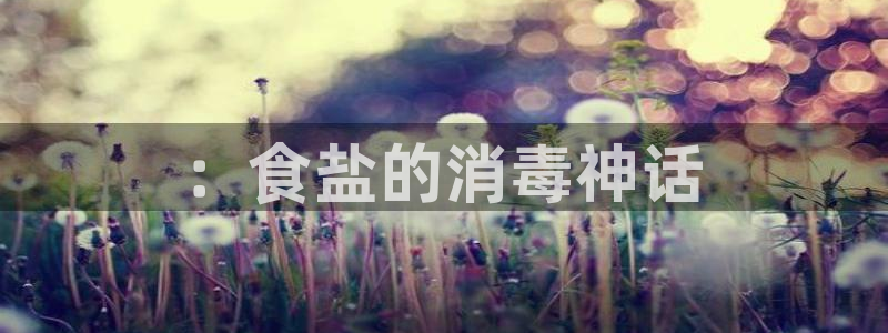 威九国际旗下艺人都有谁