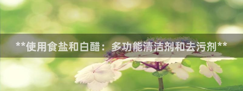 保定威九网络科技有限公司