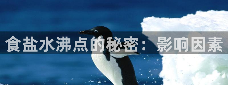 威九国际官网在线进入网站查询网址